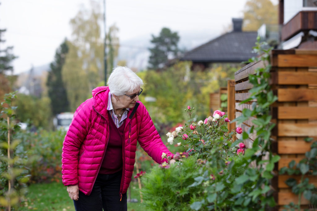 Eldre kvinne som pleier hagen sin