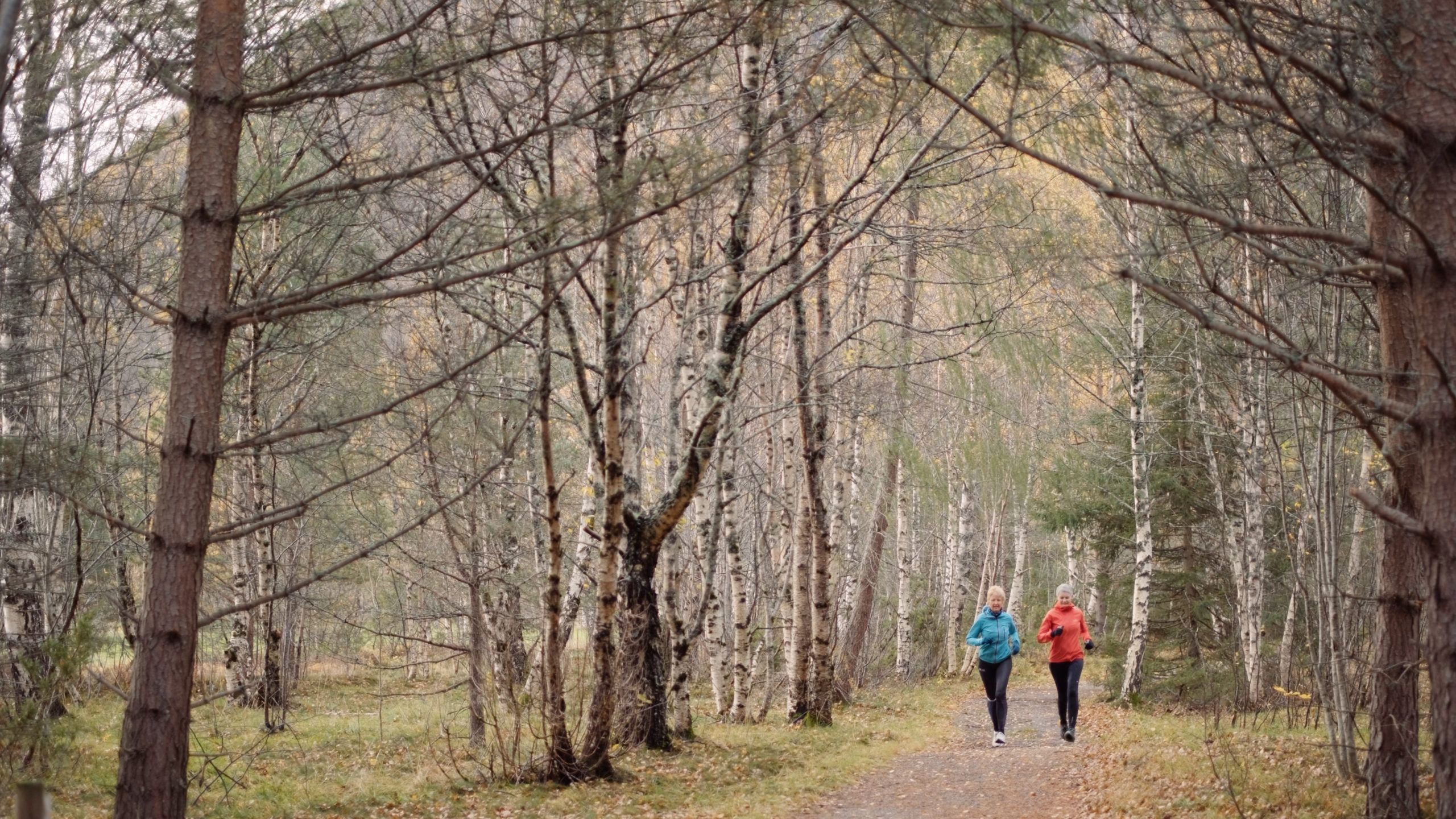 To kvinner som jogger på en sti ute i skogen.